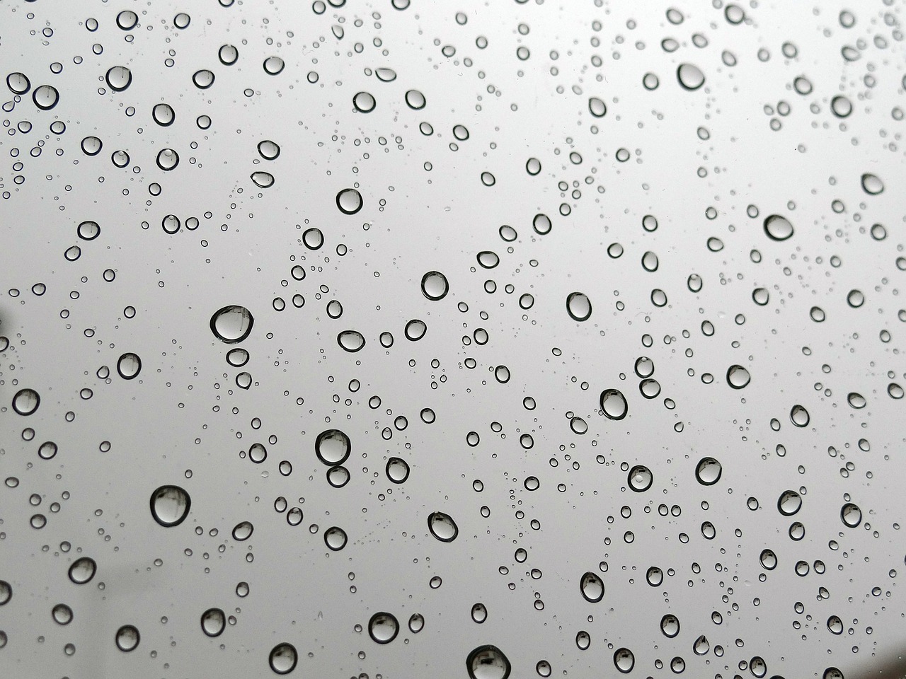 drops water rain free photo