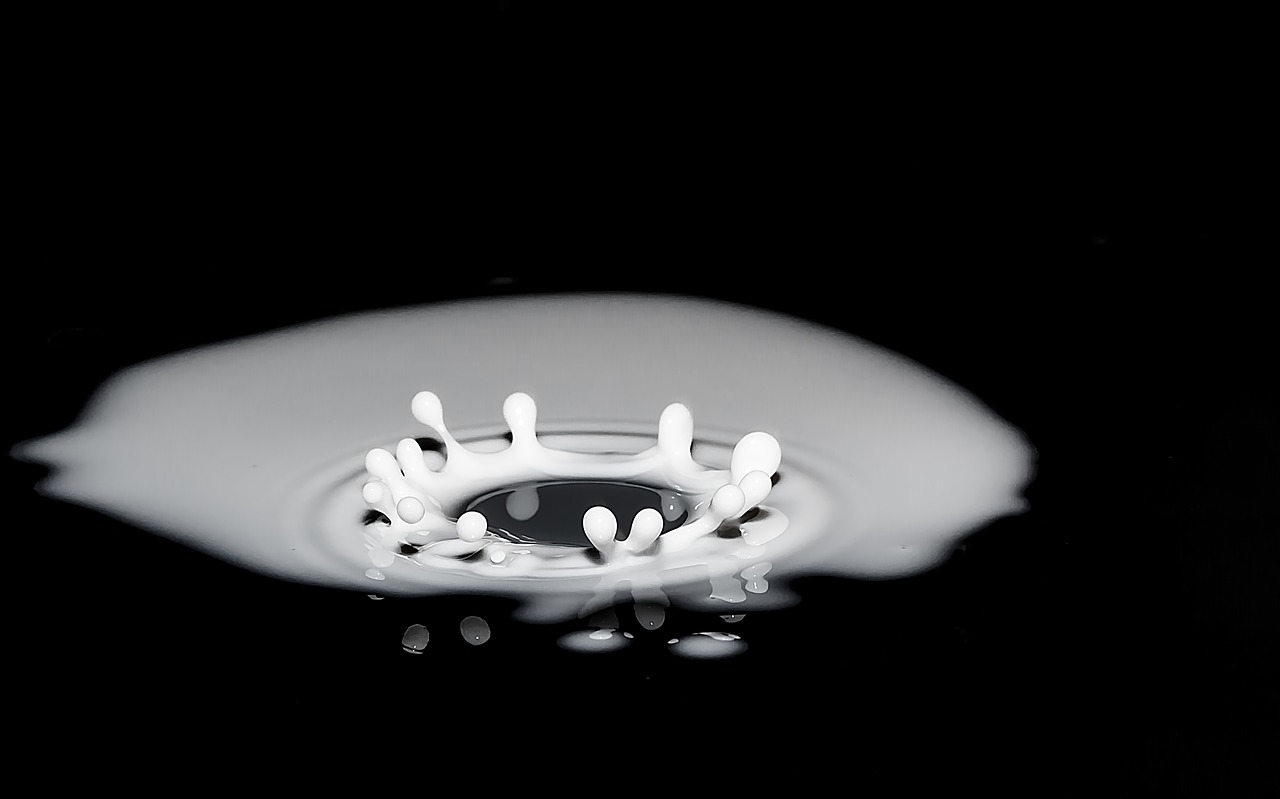 drops of milk spray splash free photo
