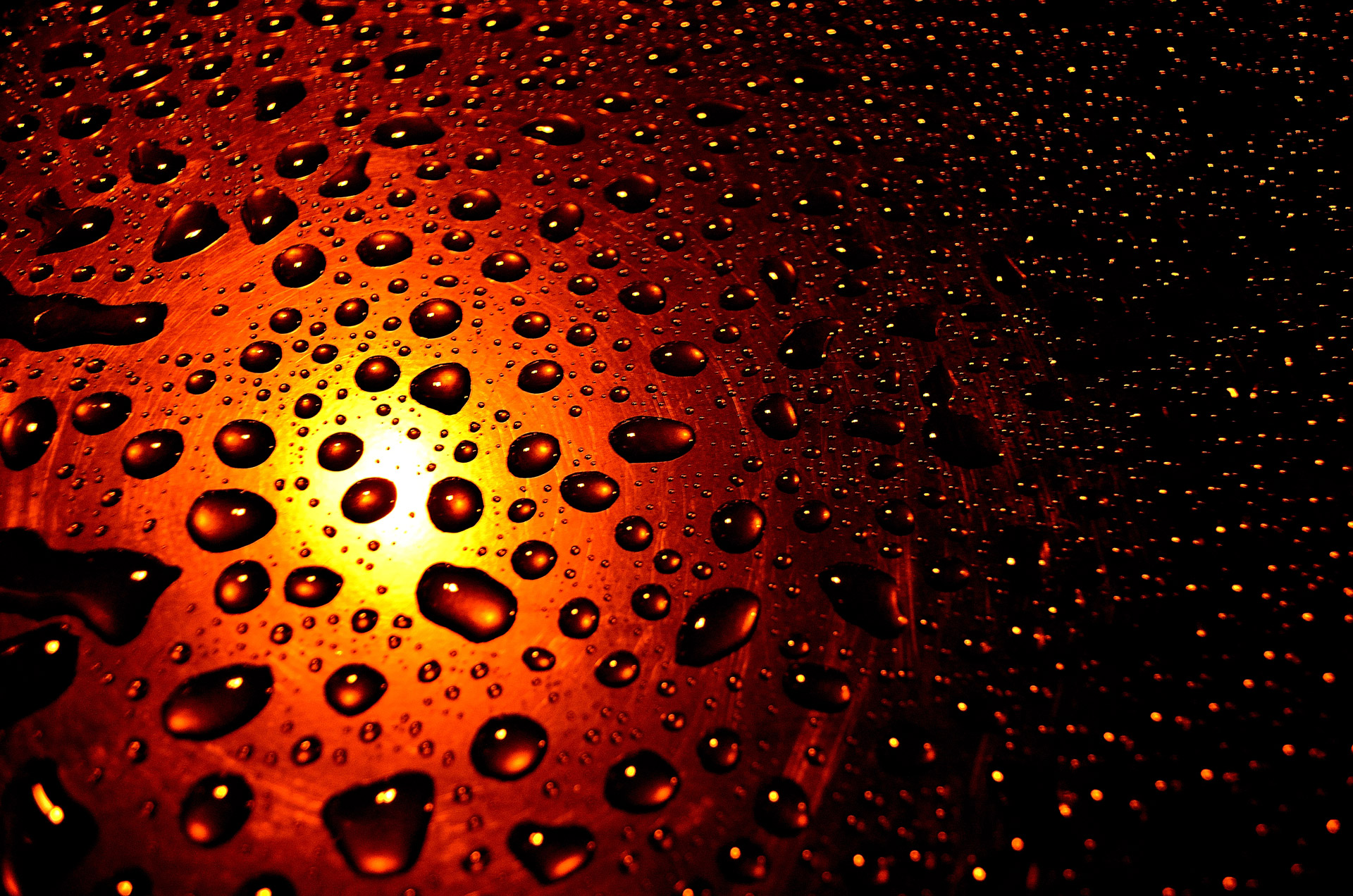 drops rain background free photo