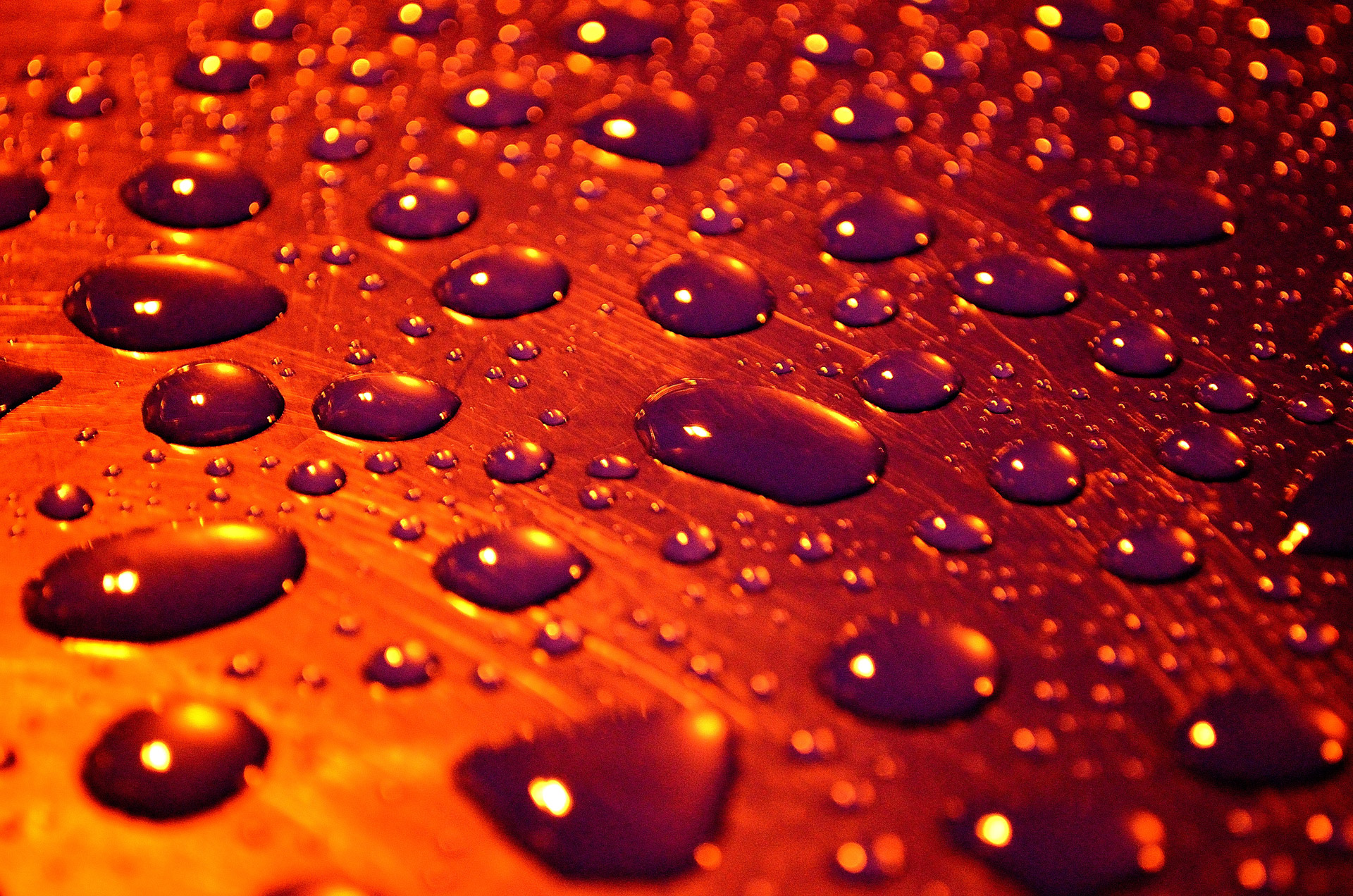 drops rain background free photo