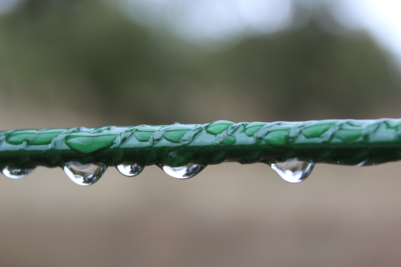 drops of water rain moisture free photo