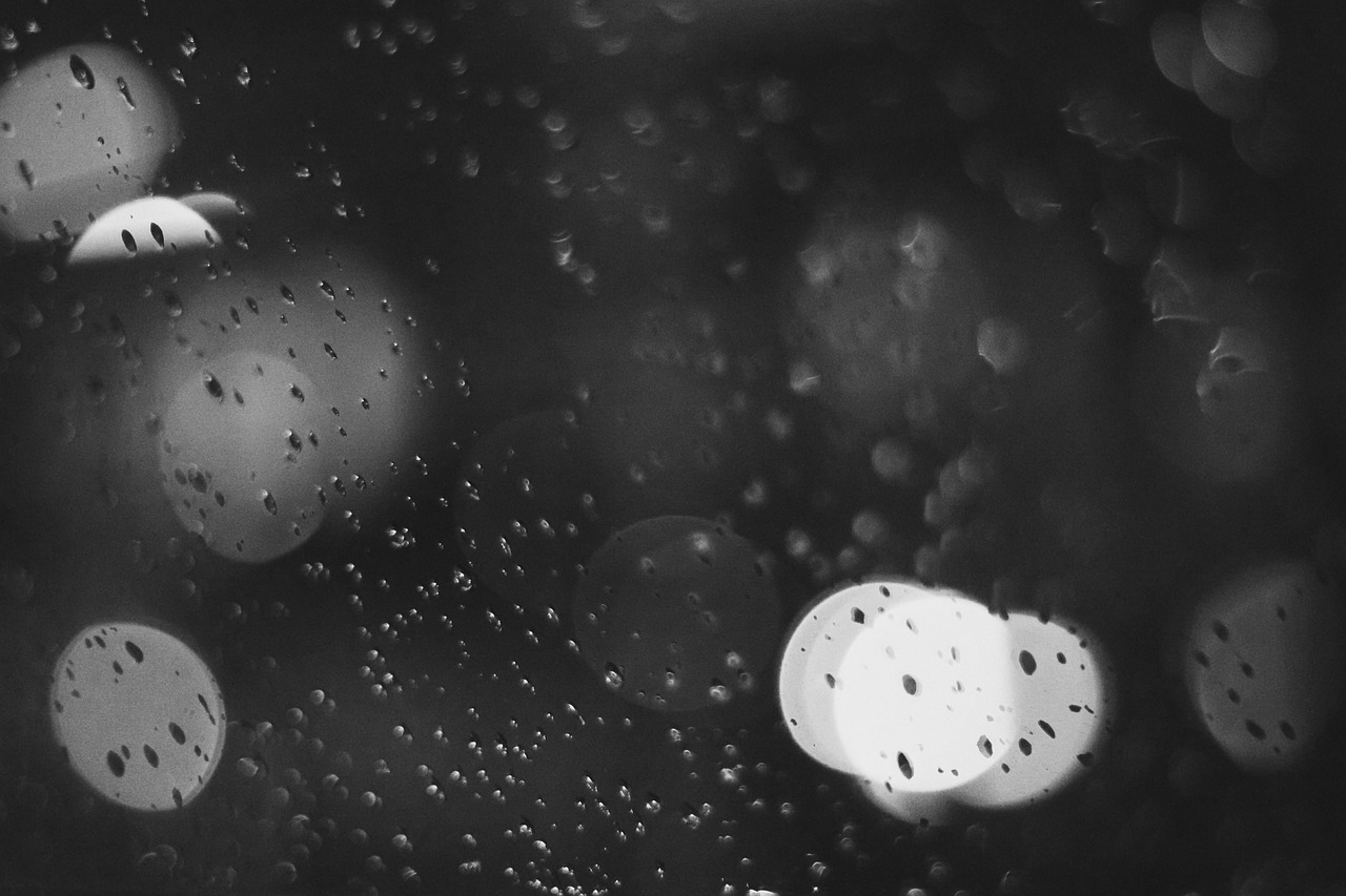 drops of water the light black and white free photo