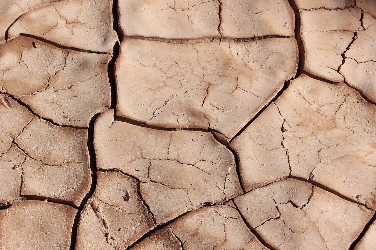 drought cracks dry free photo
