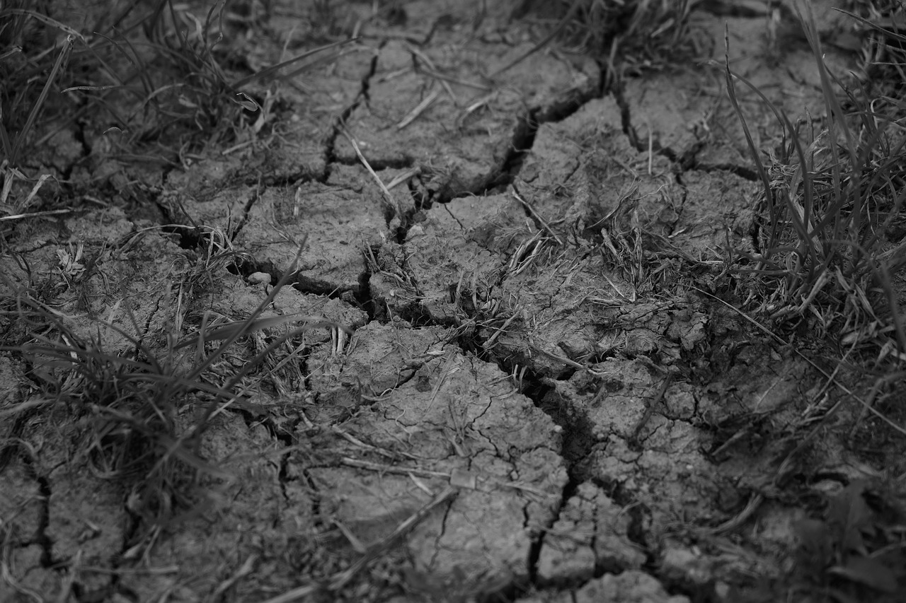 drought cracks dehydrated free photo