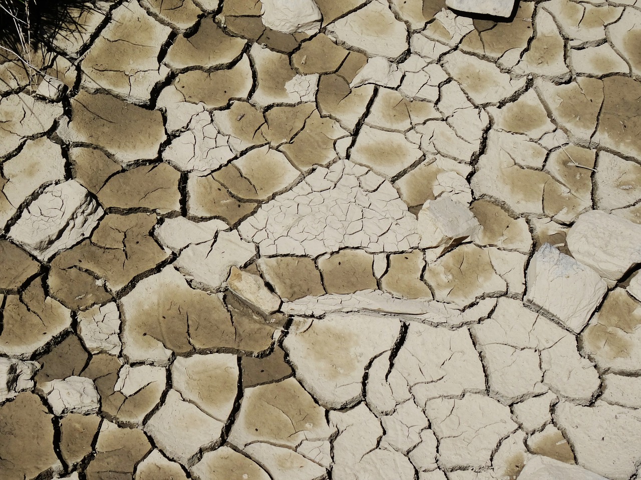 drought mud cracked earth free photo