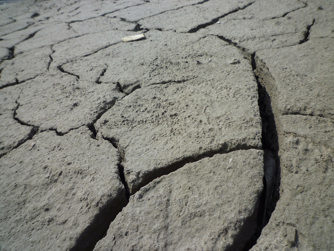 drought dehydrated cracks free photo