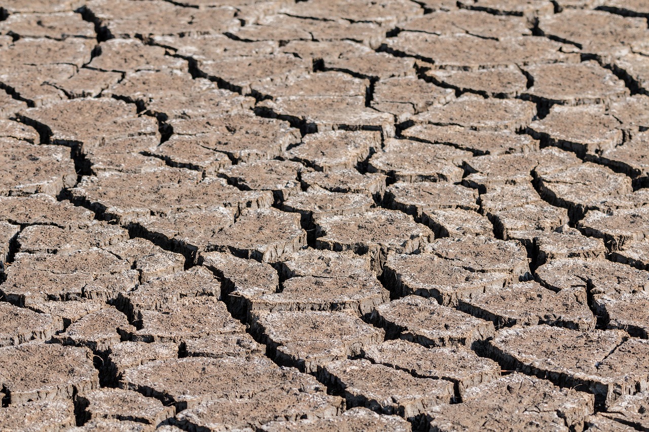 drought ground cracks free photo