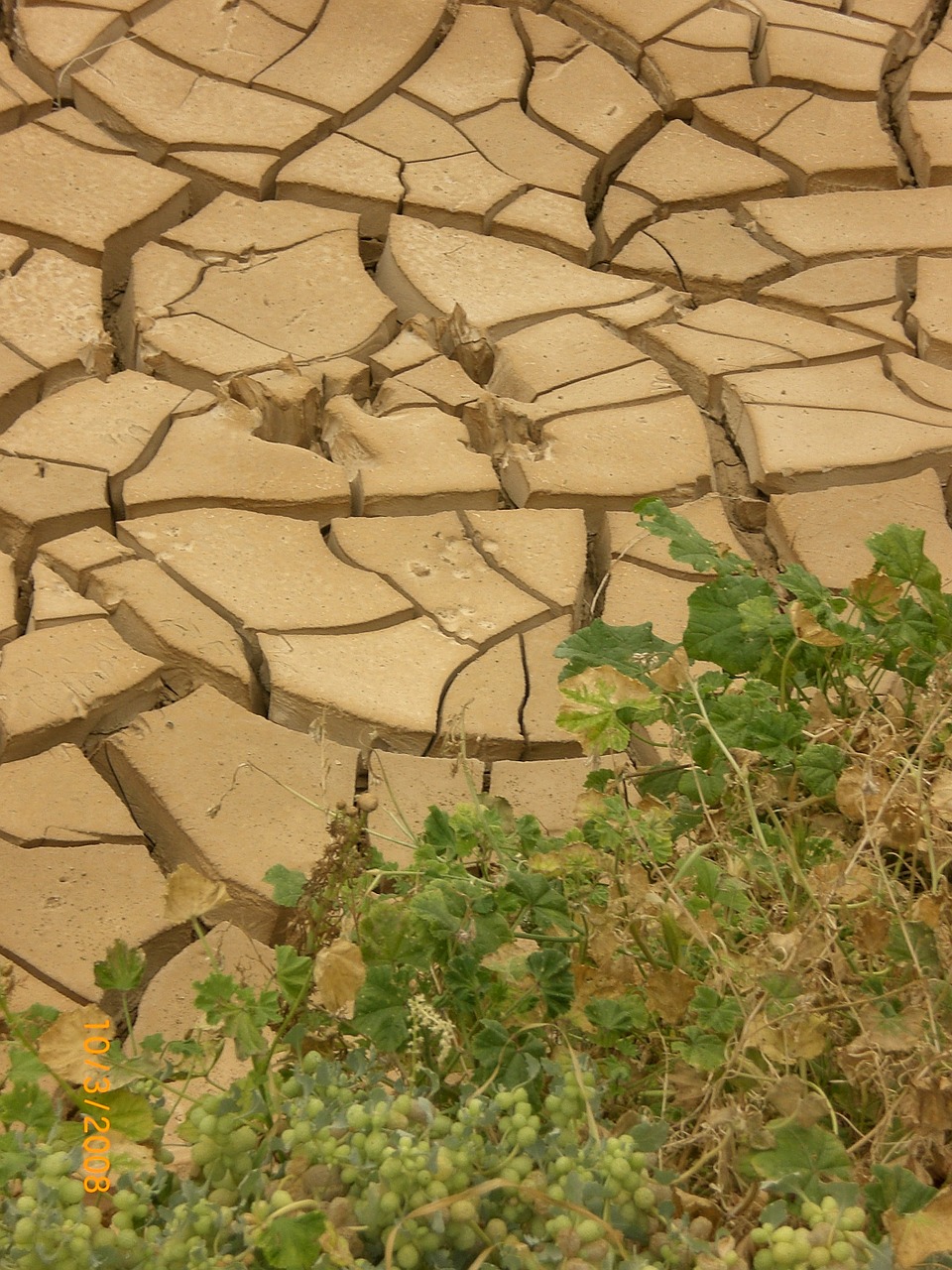 drought dry period clay free photo