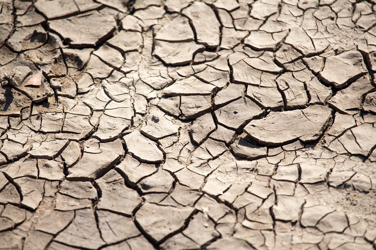 drought climate arid free photo