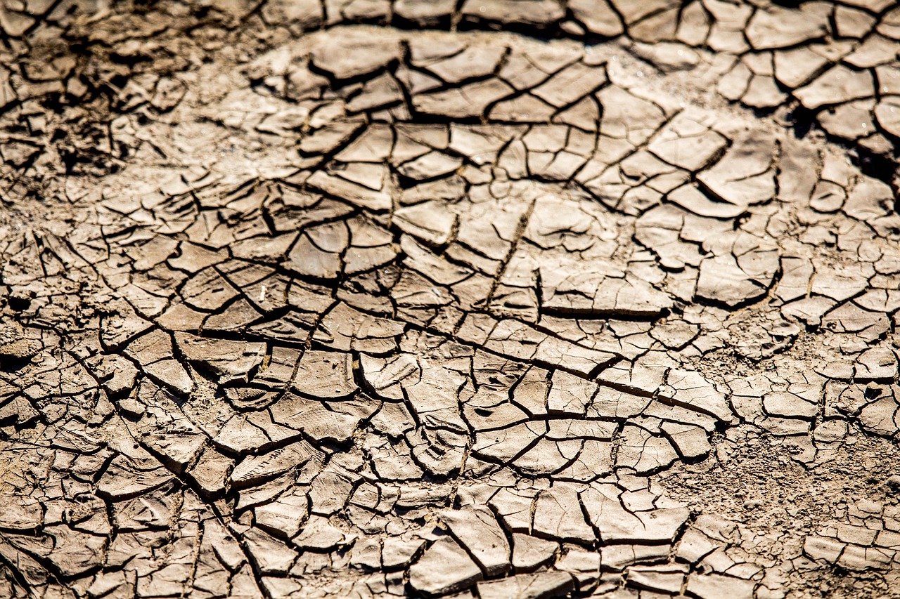 drought dry arid free photo