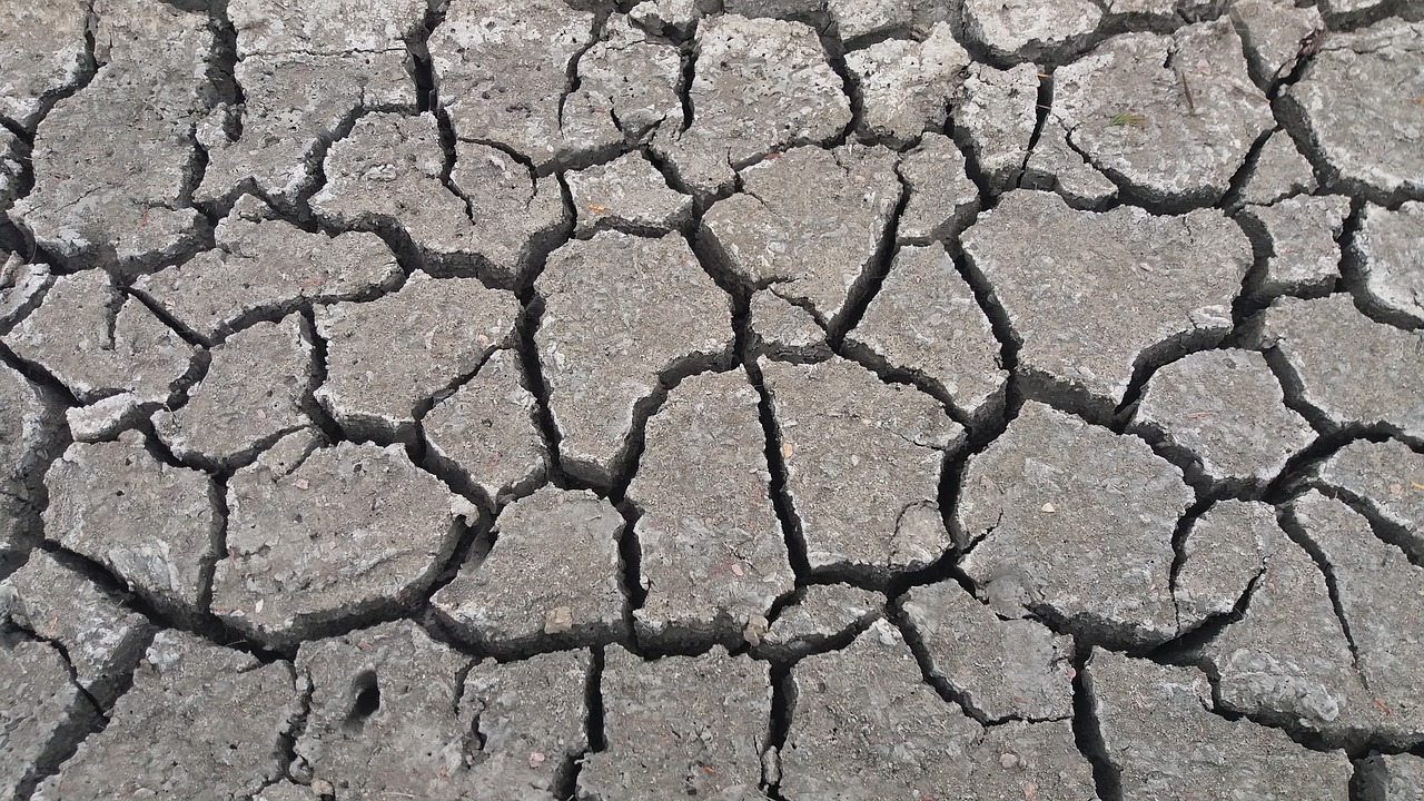 drought  arid  climate free photo