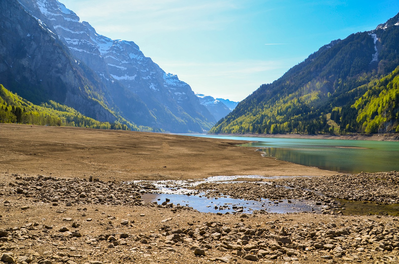 drought  dry season  dehydrated free photo