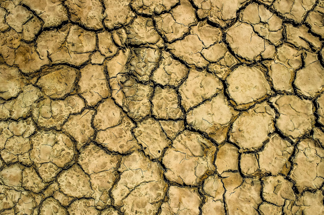 drought  aridity  aridness free photo