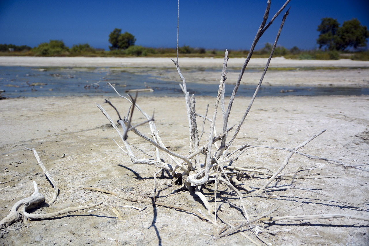 drought  landscape  dry free photo