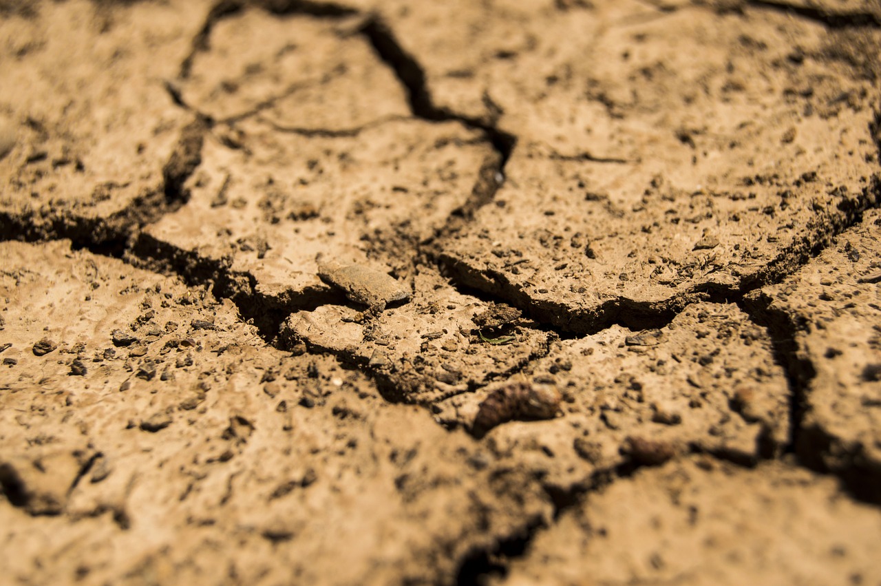 drought aridity dry free photo