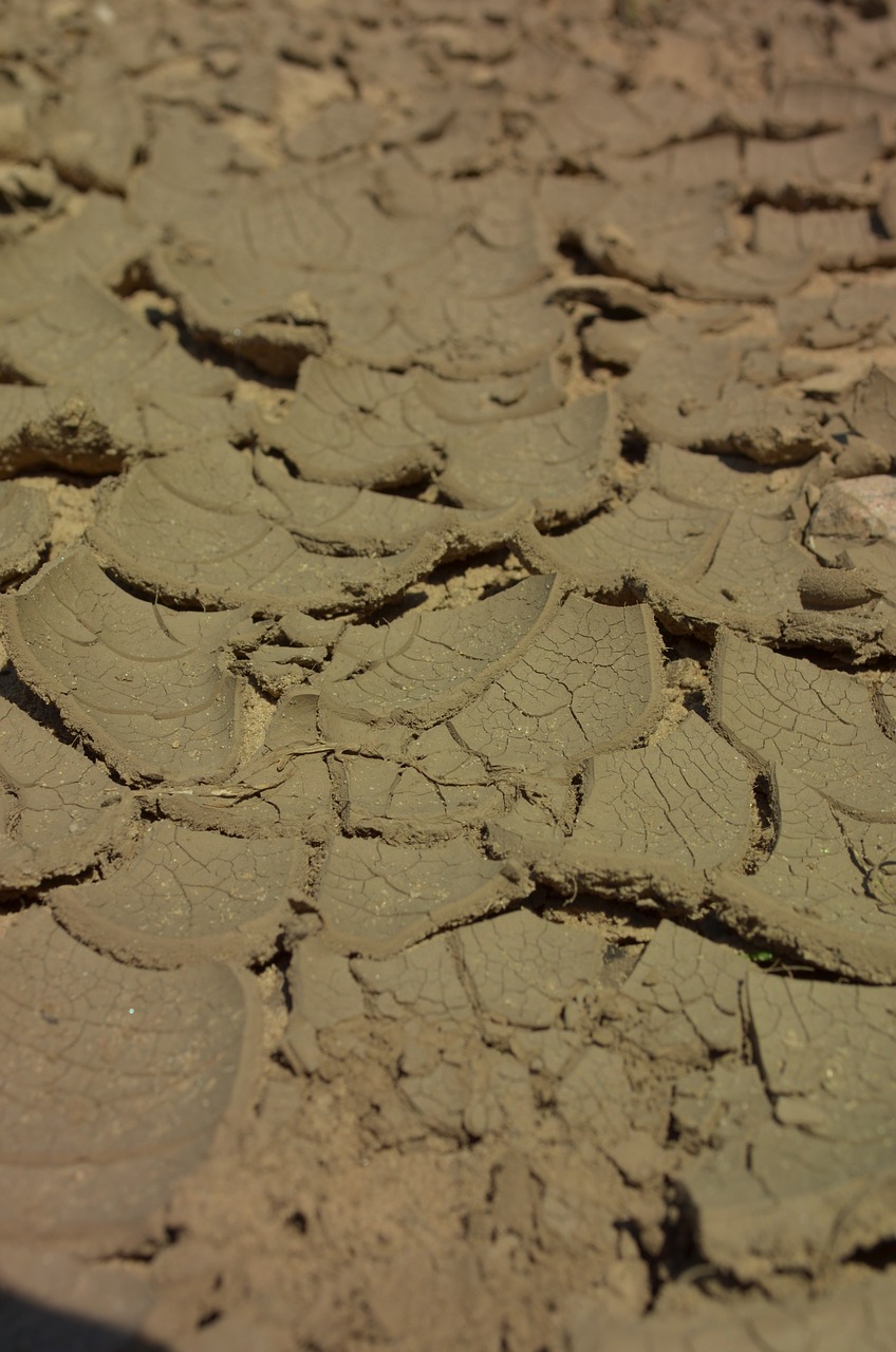 drought climate change clay soil free photo
