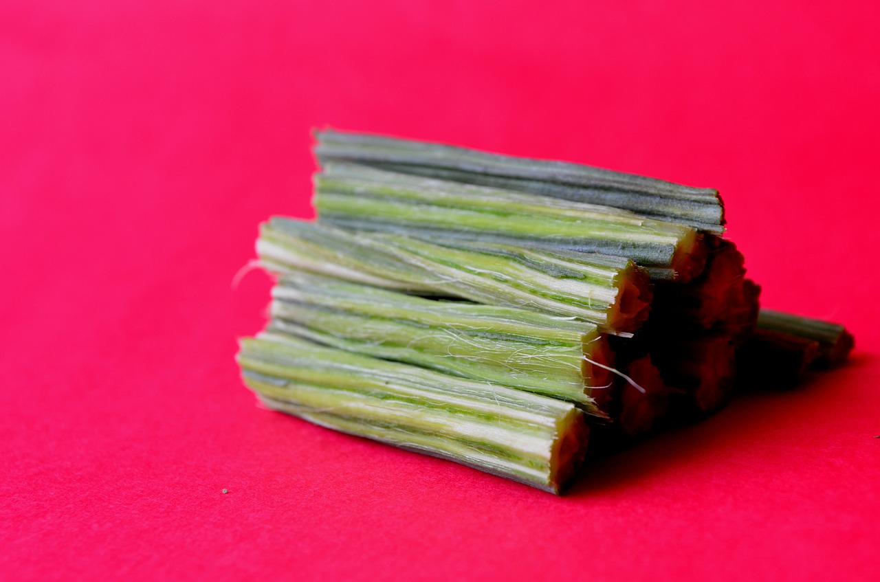 drumstick moringa oleifera vegetables free photo