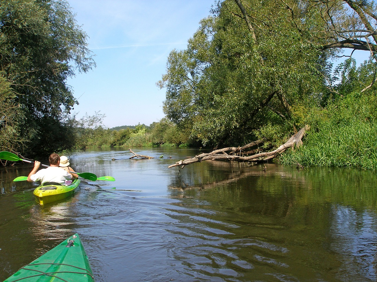 drwęca river kayaks free photo