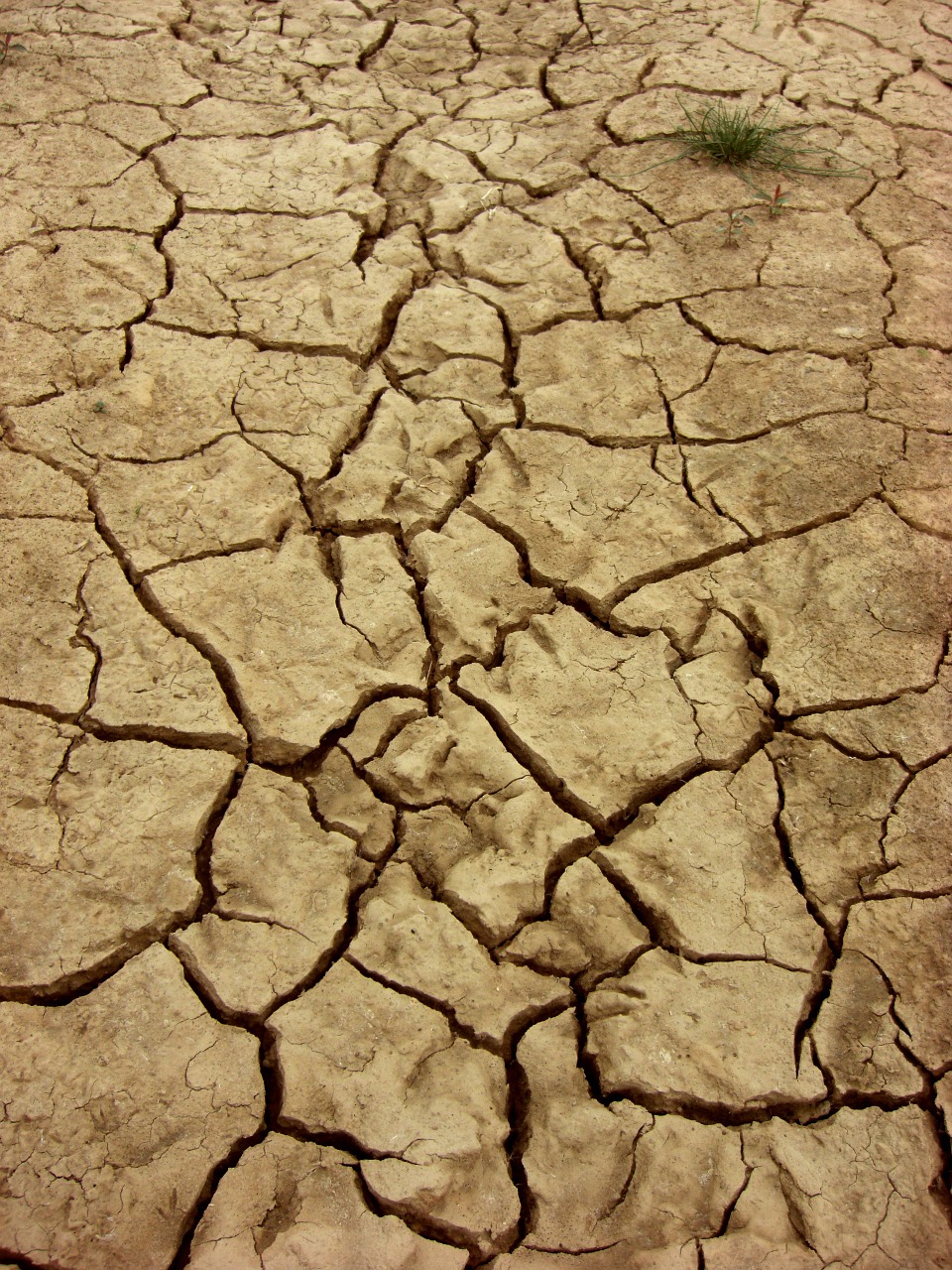 dry earth dehydrated free photo
