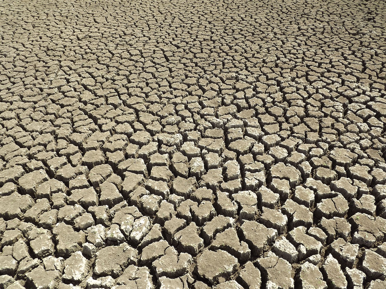 dry cracked earth backcountry free photo