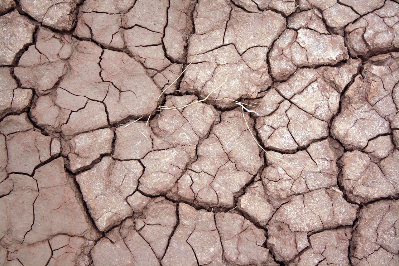 dry earth cracked free photo