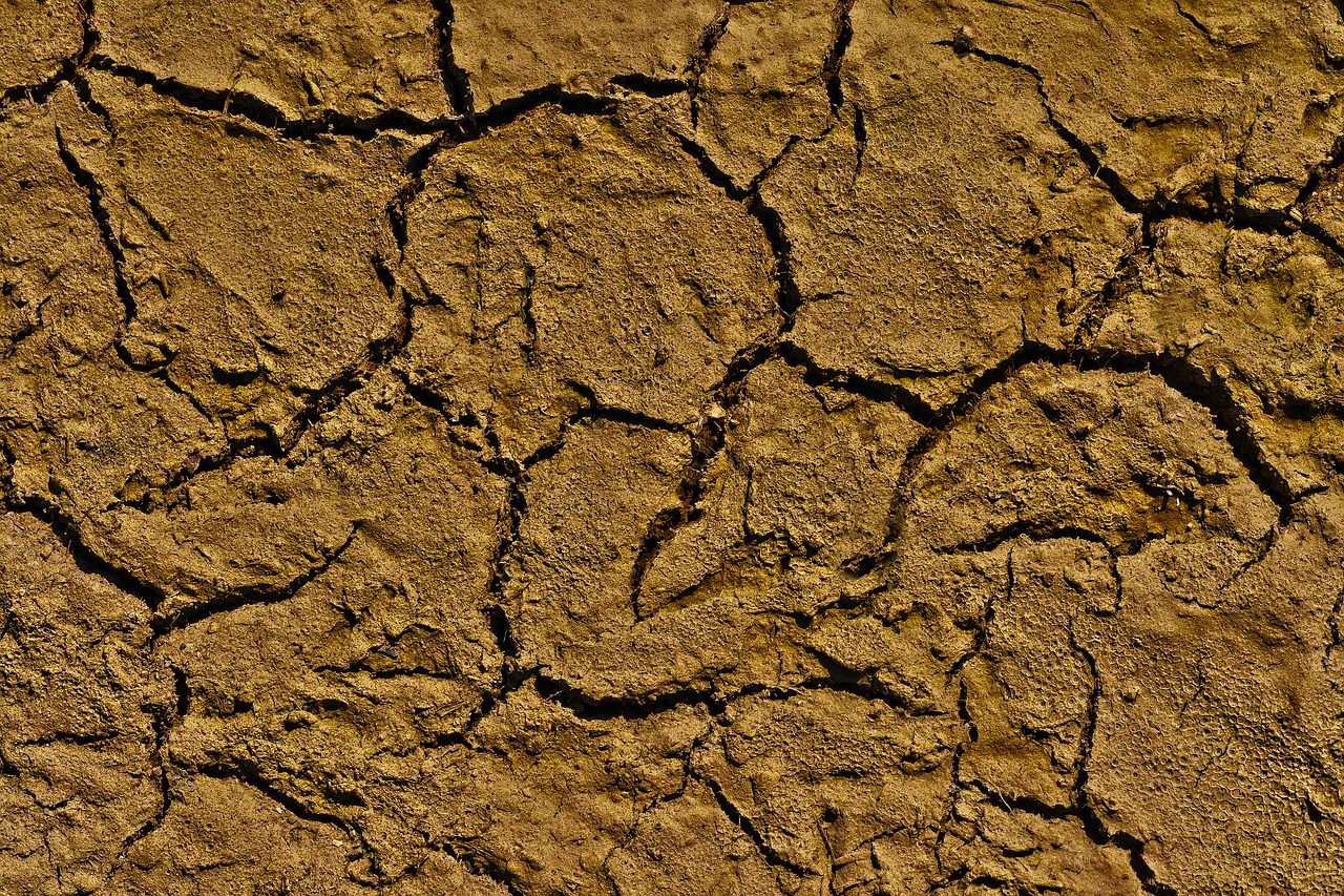 dry  ground  cracks free photo