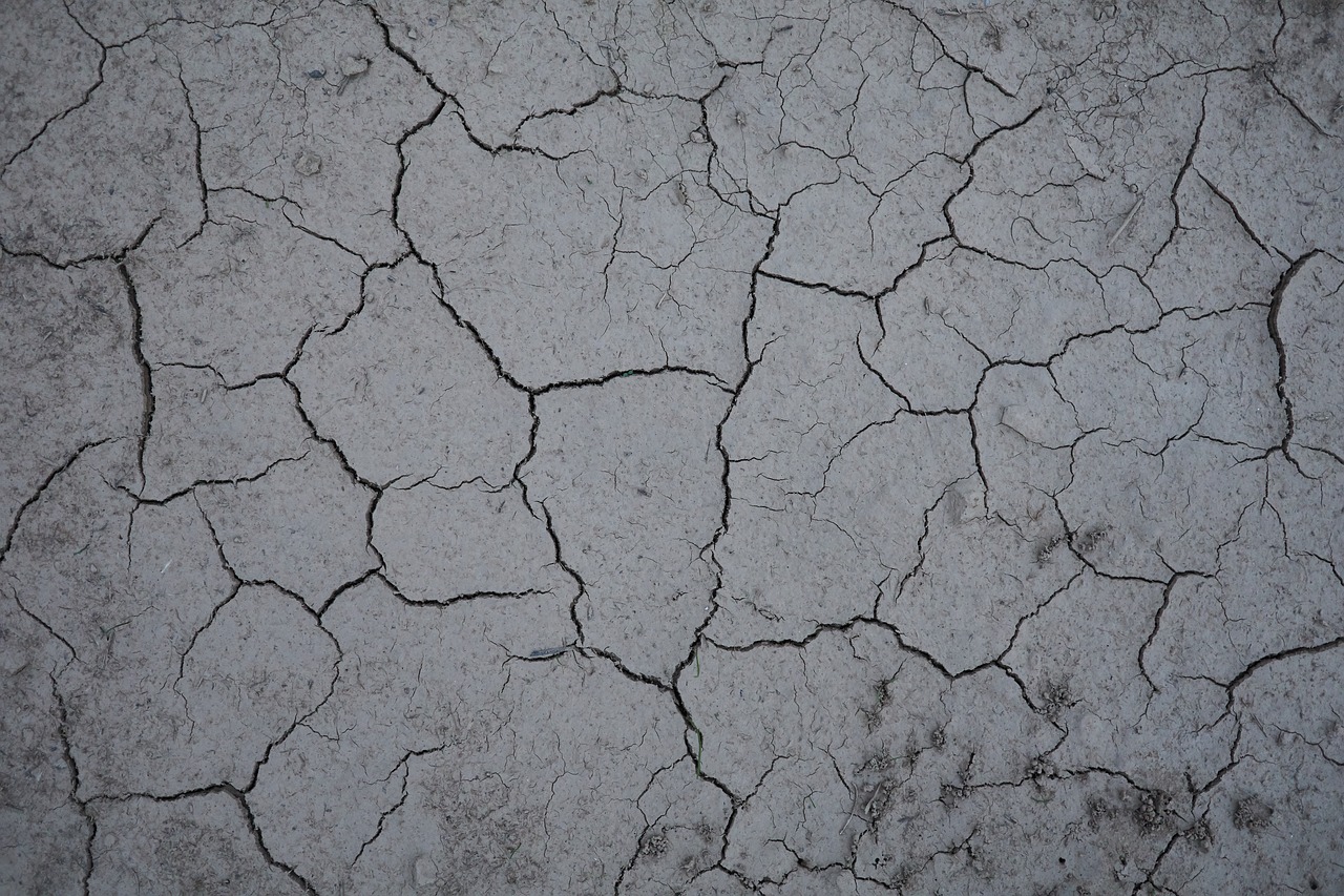 dry  ground  structure free photo