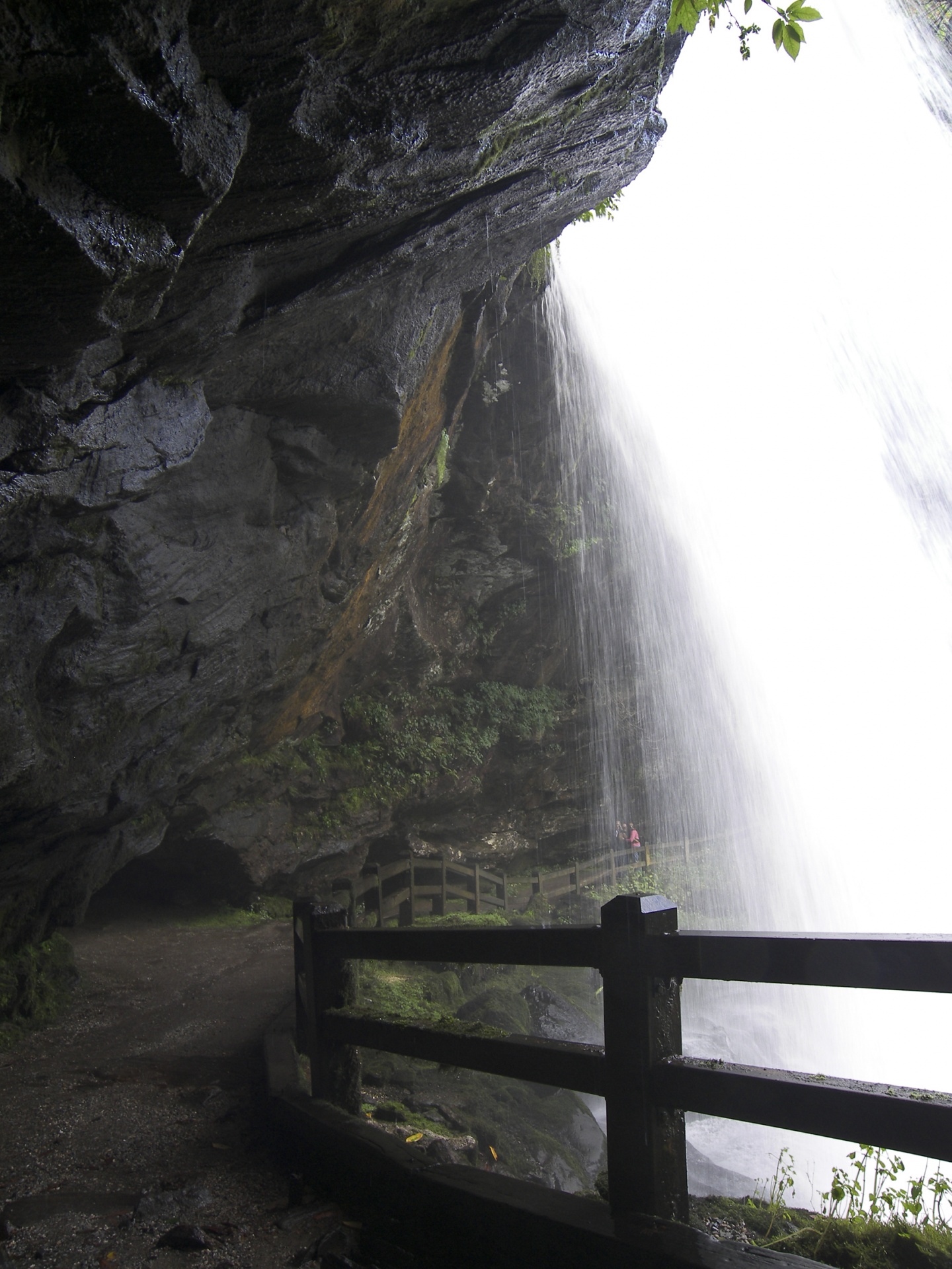 waterfall water wet free photo