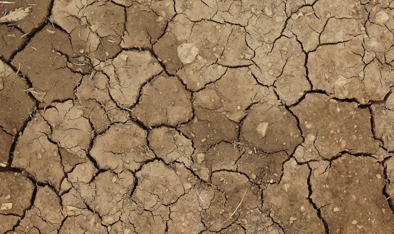 dry land ground drought free photo