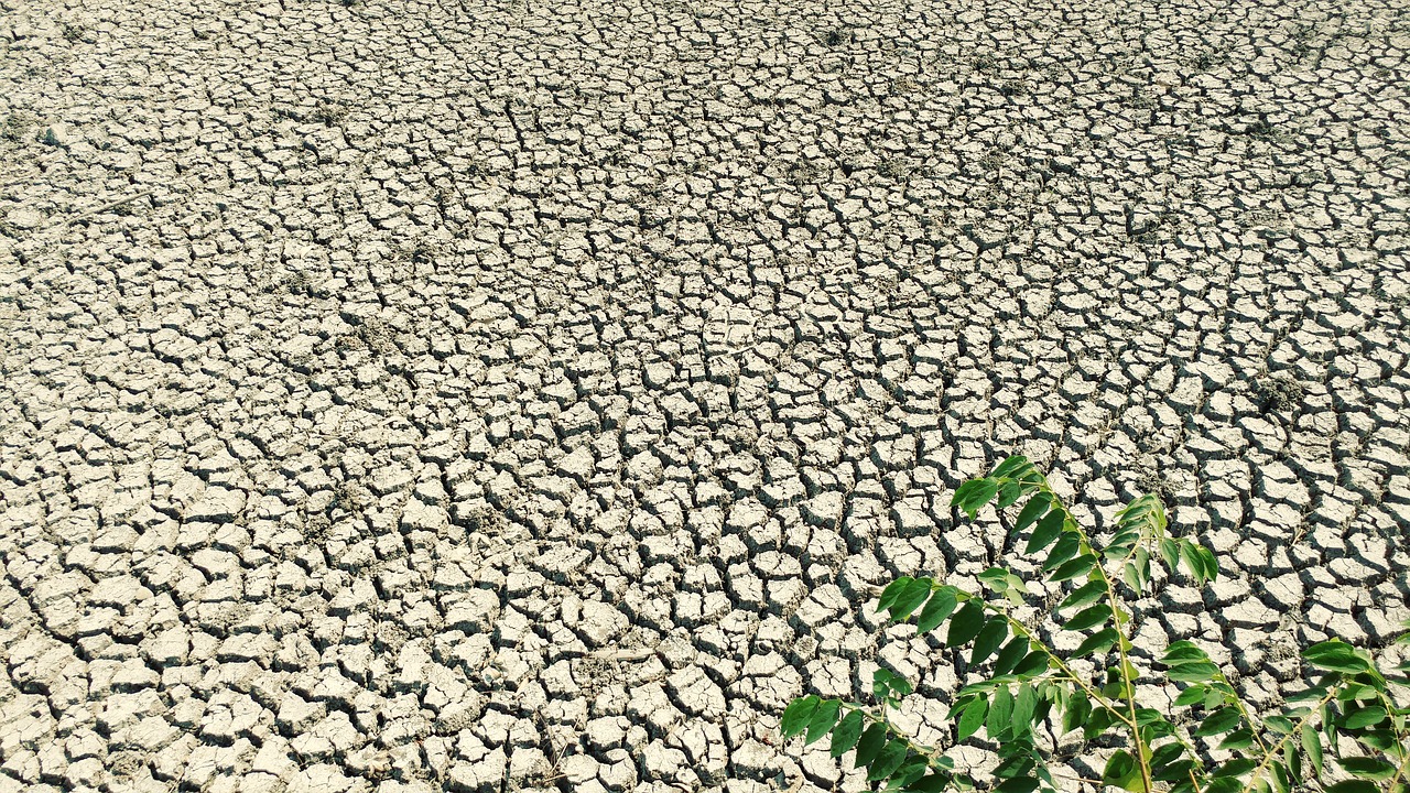 dry mud earth surface salty ground free photo