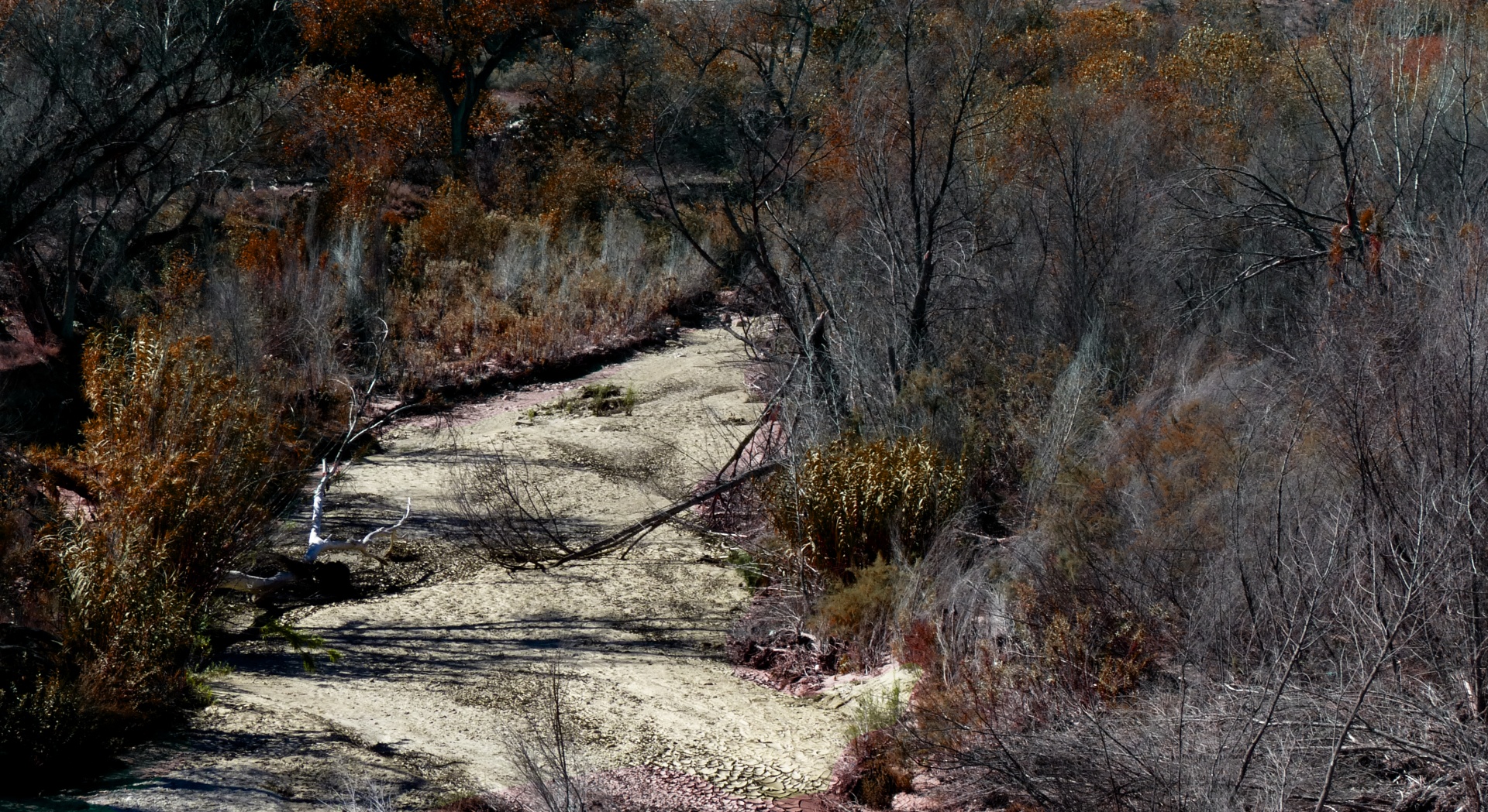 dry river bed free photo