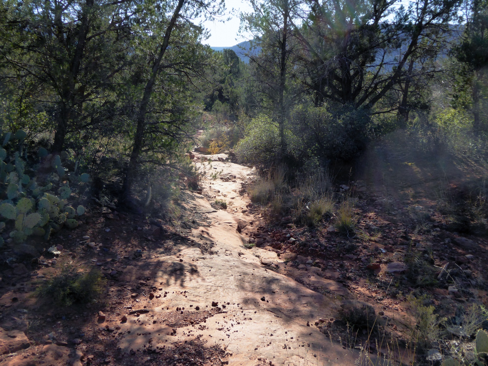 river bed dry drought free photo