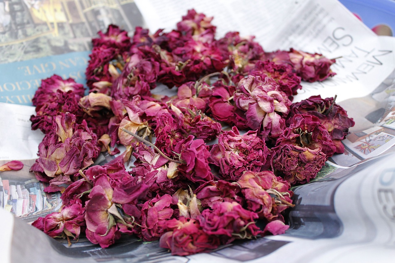 dry roses potpourri petal free photo