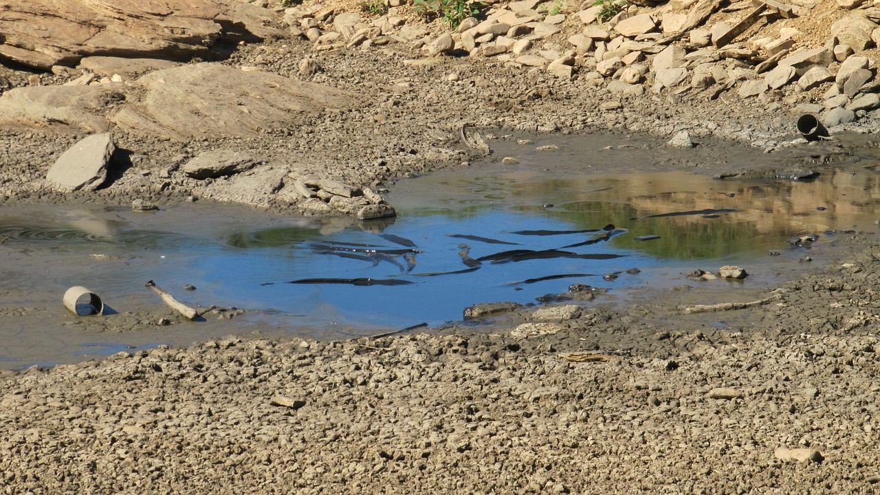 dry season lake dehydrated free photo