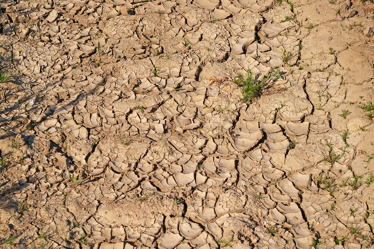 dry soil  drought  dehydrated free photo
