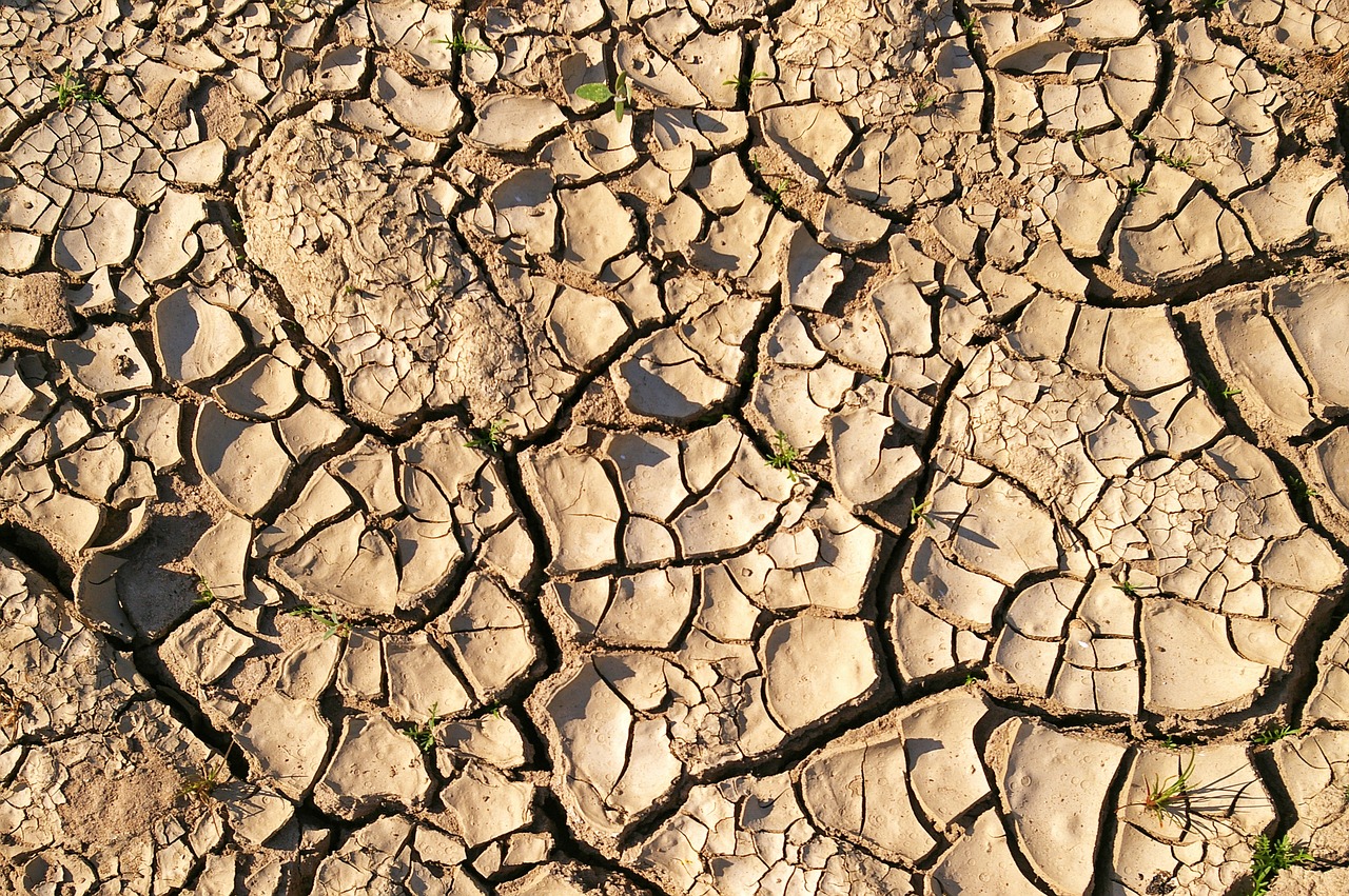 dry soil  drought  dehydrated free photo