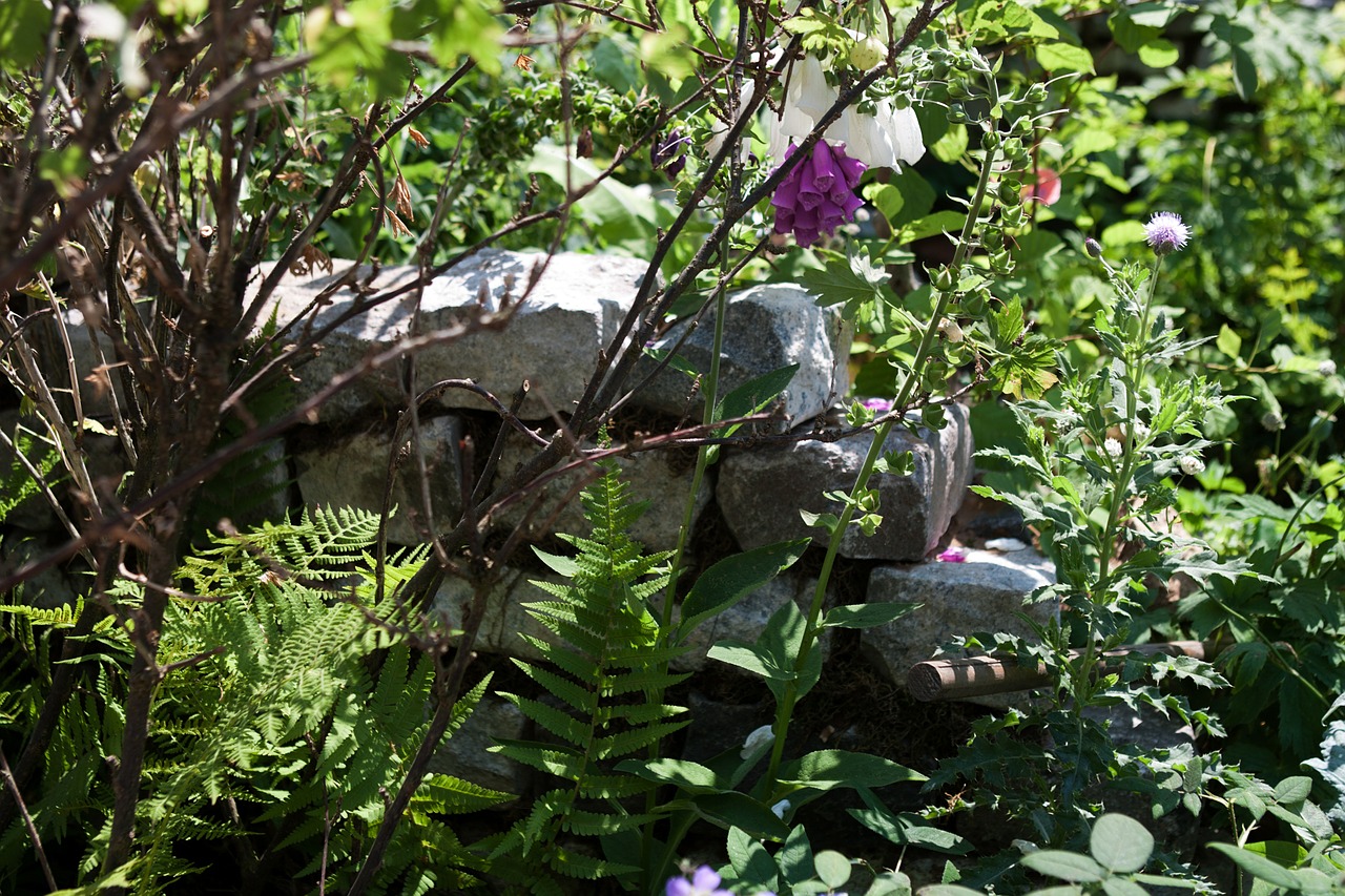 dry stone wall natural garden free photo