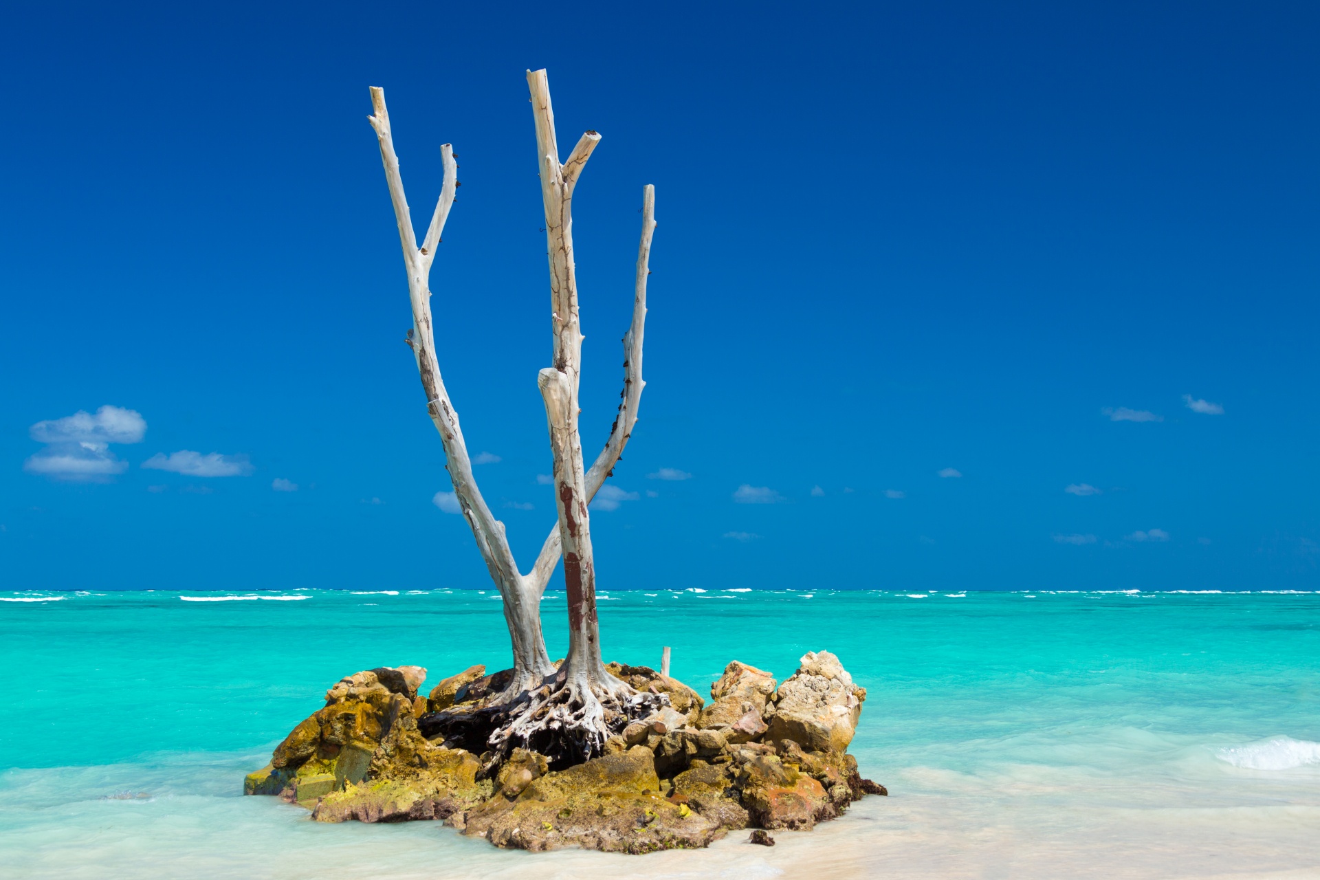 beach beautiful blue free photo