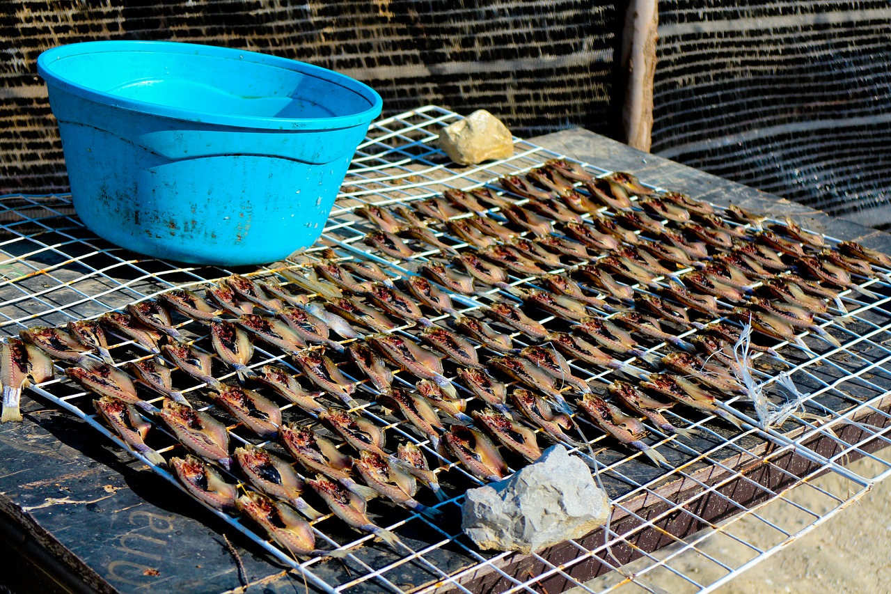 dry fish food free photo