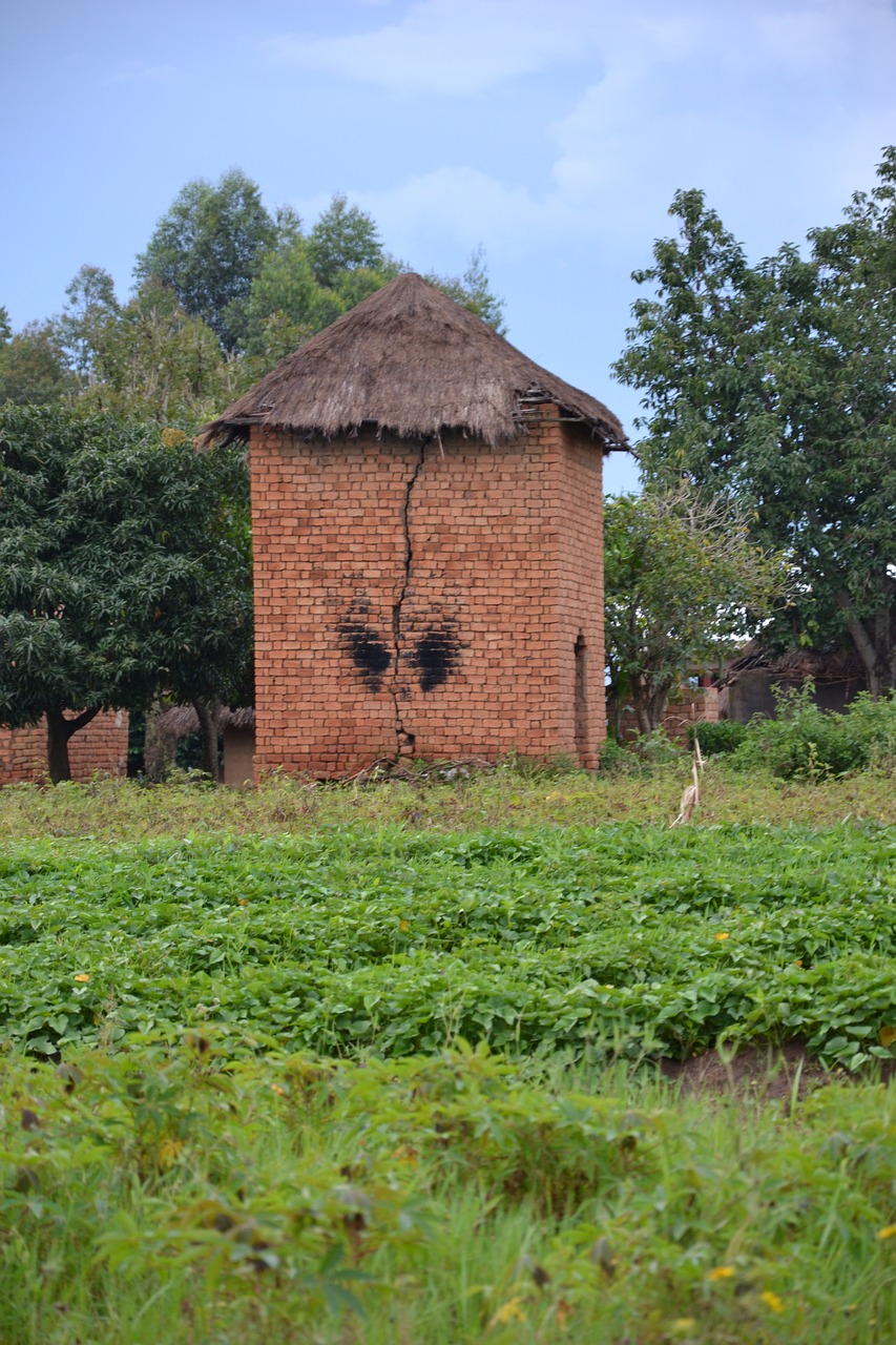 drying tower uganda agriculture free photo