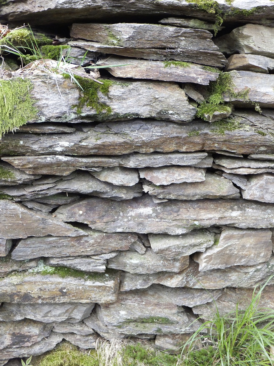 drywall wall natural stone free photo