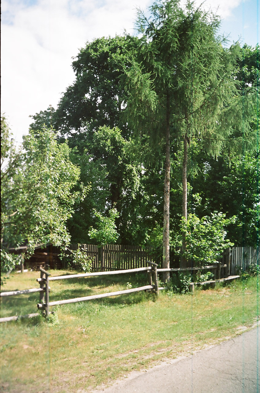 tree countryside fence free photo
