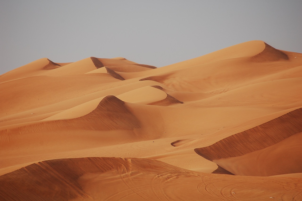 dubai desert sand free photo