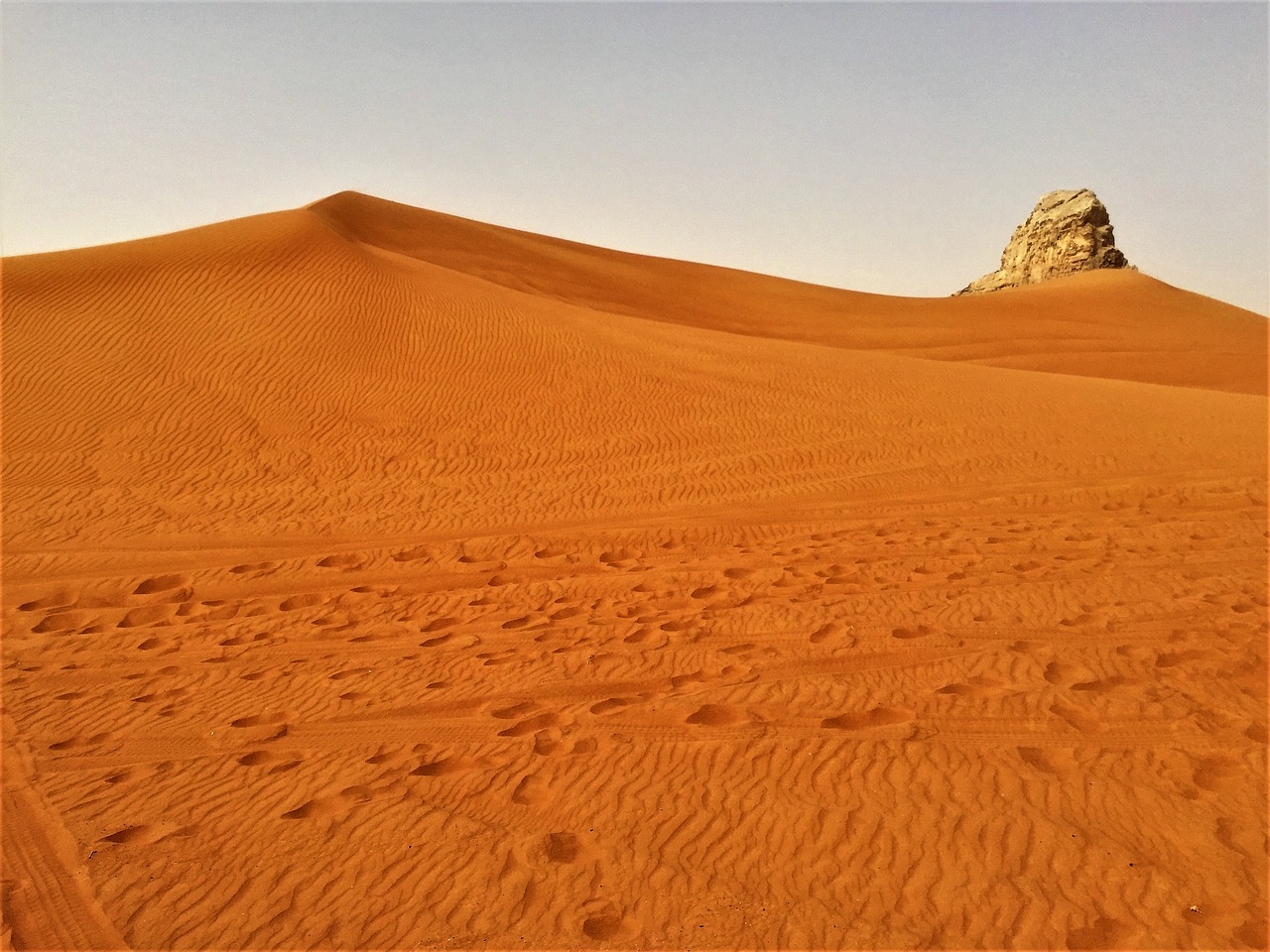 dubai desert safari camel free photo