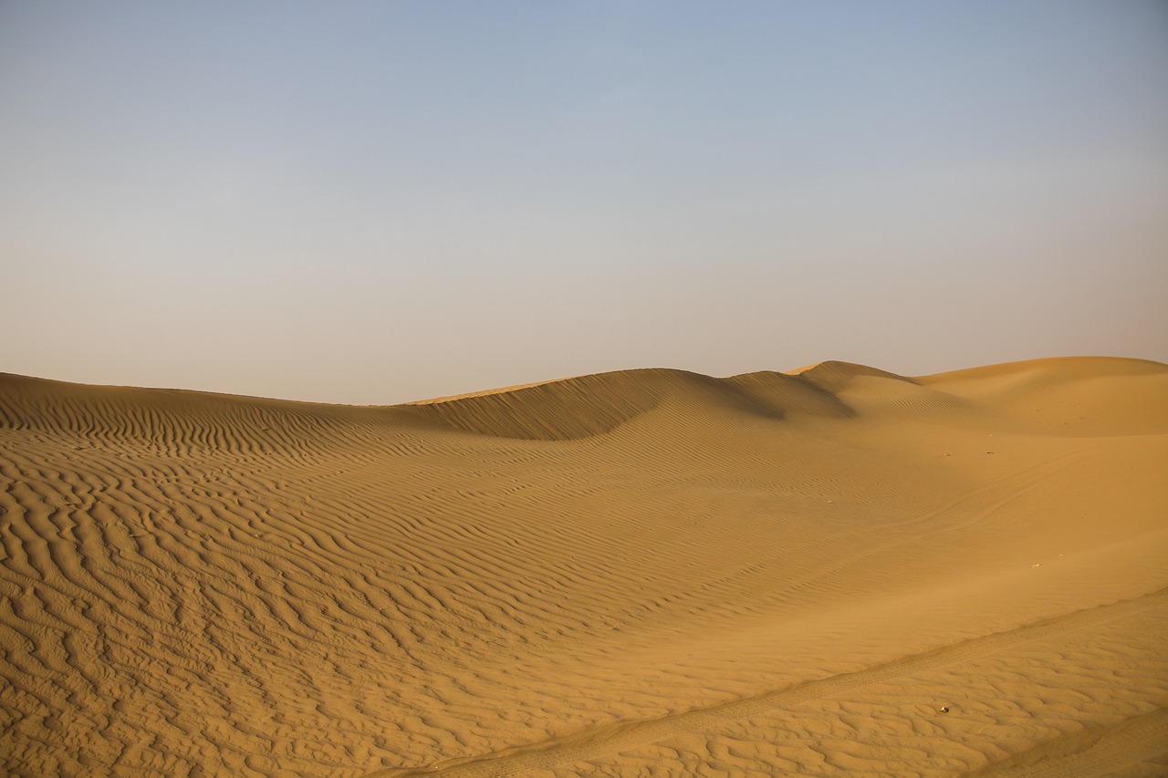 dubai  wilderness  sand free photo