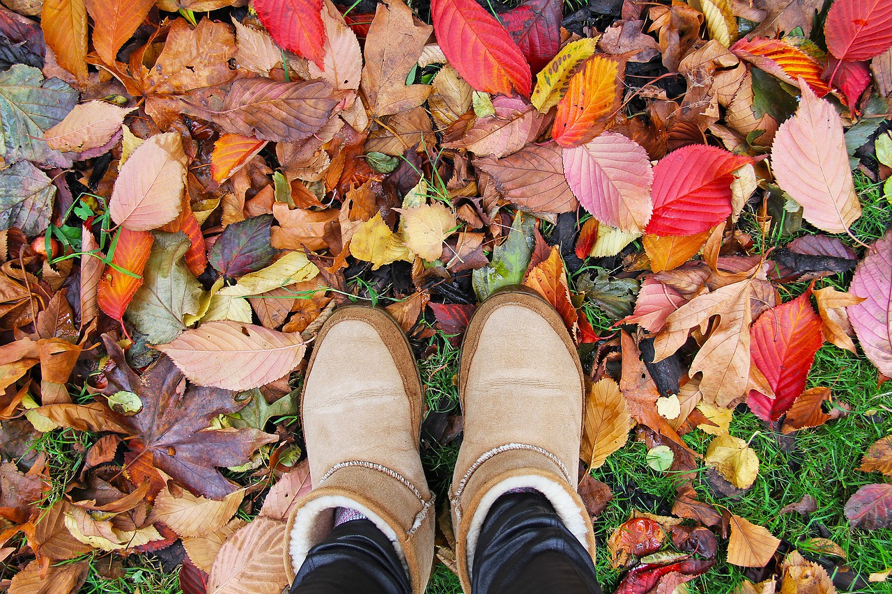 dublin ireland fall free photo