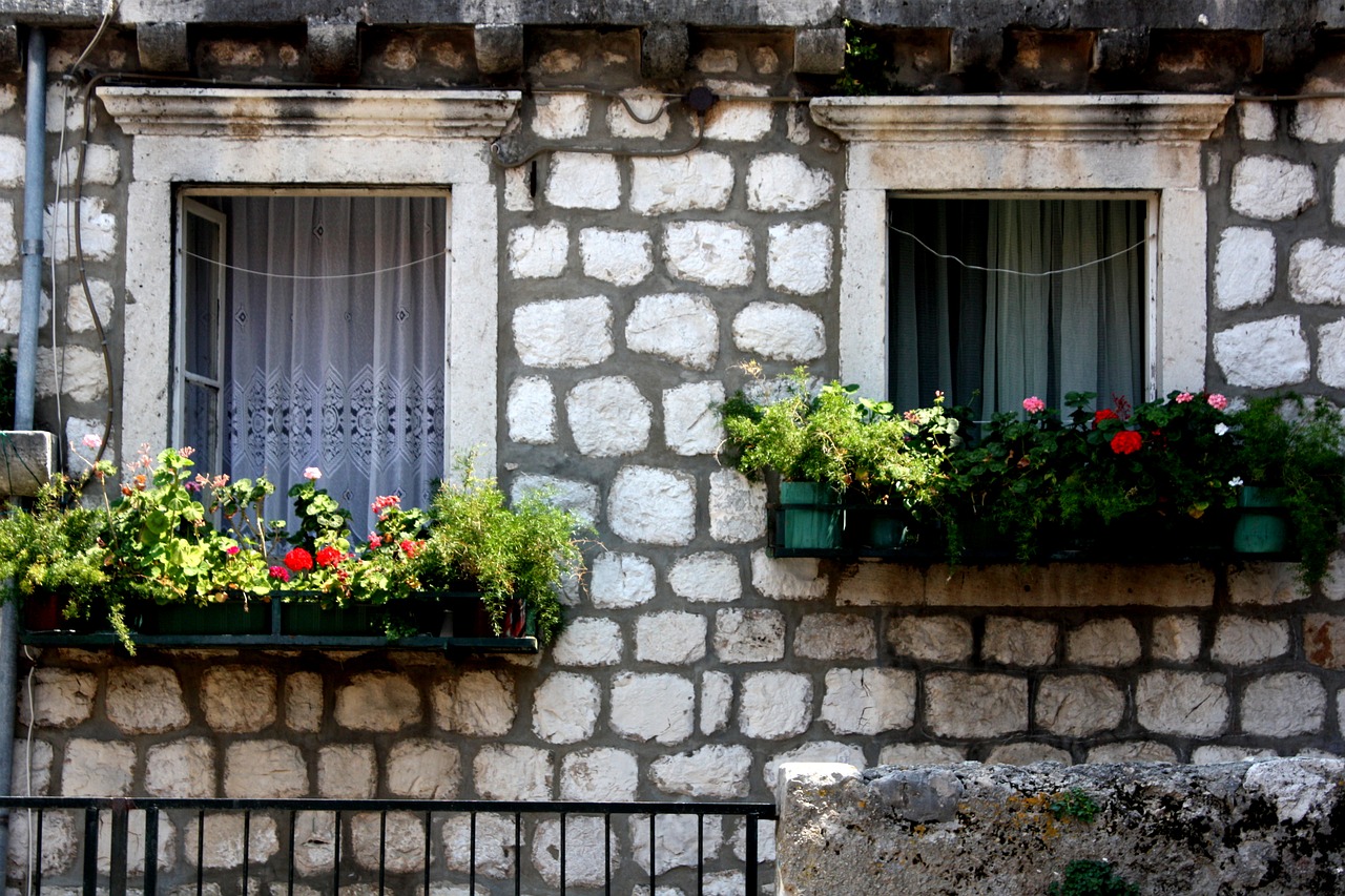 dubrovnik window flower free photo