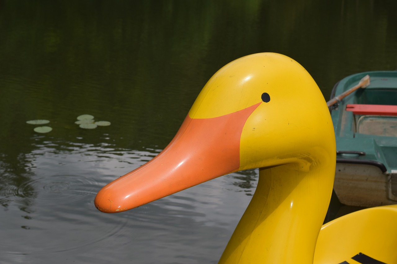 duck pond pedal boat free photo