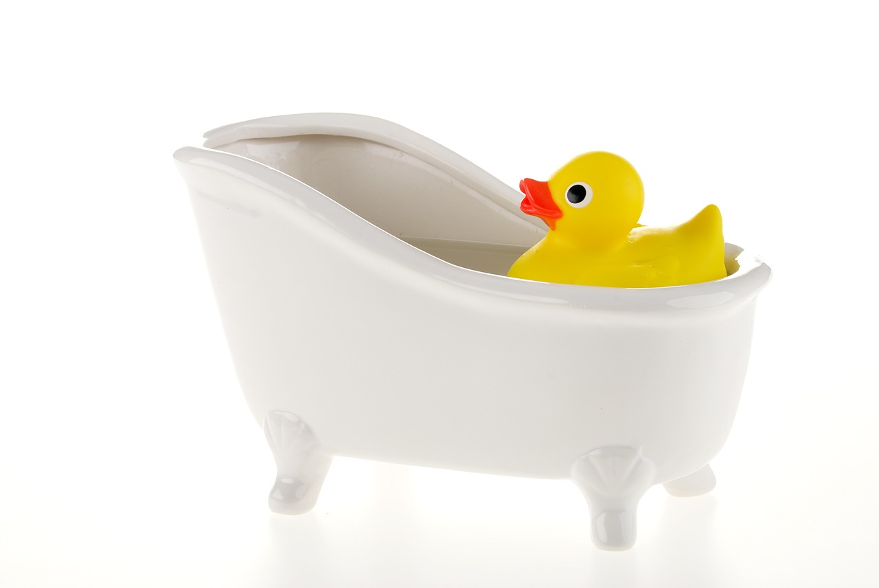 duck bath water free photo