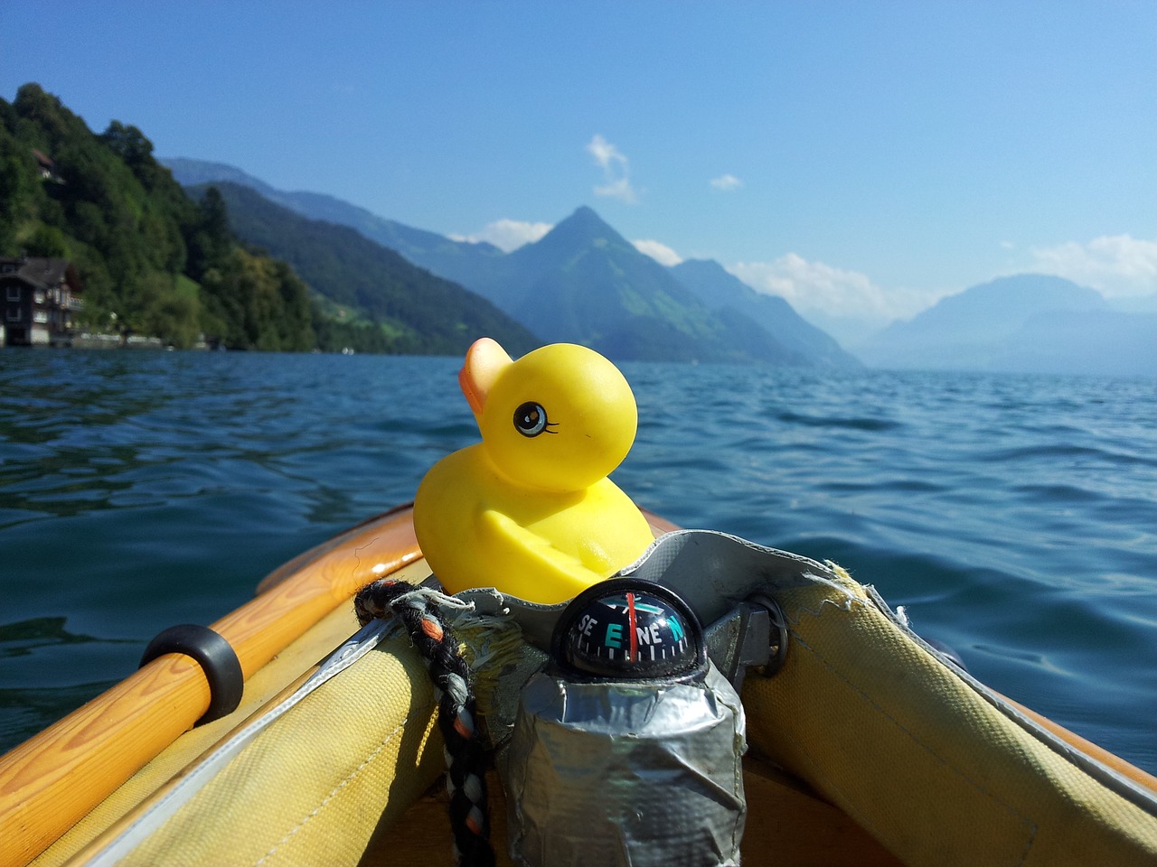 duck bath duck rubber duck free photo